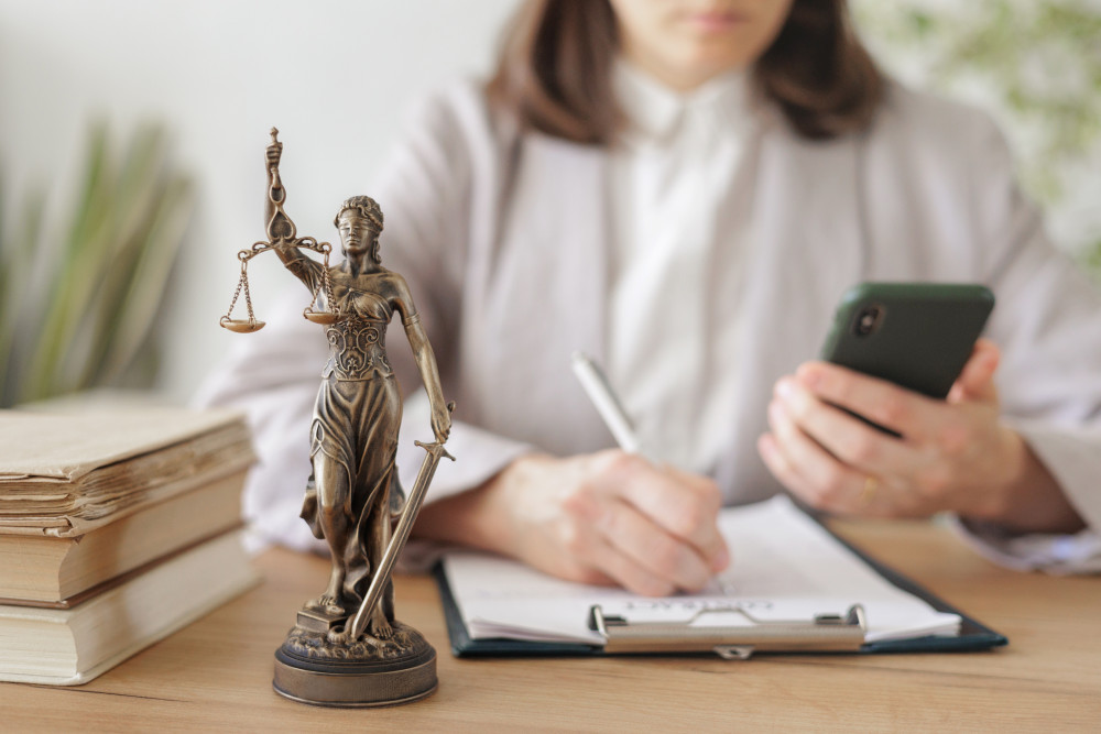 Les enjeux de l'adoption internationale : un éclairage juridique et social